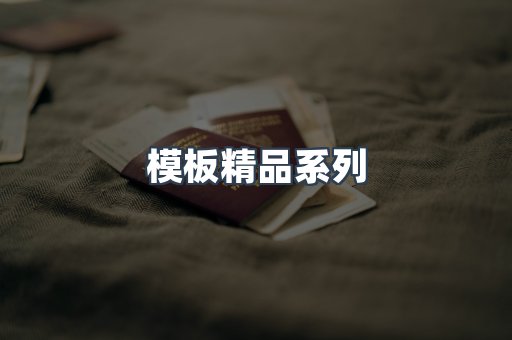 模板精品系列
